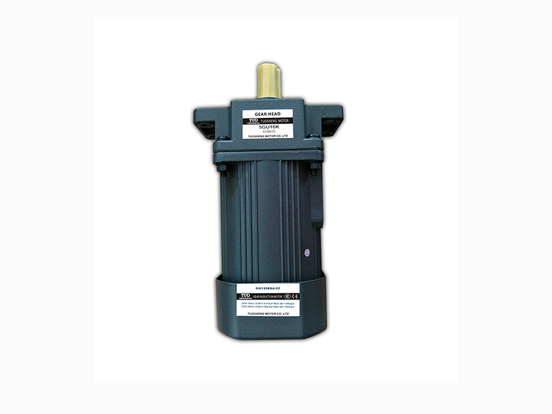 单相/三相可逆式马达