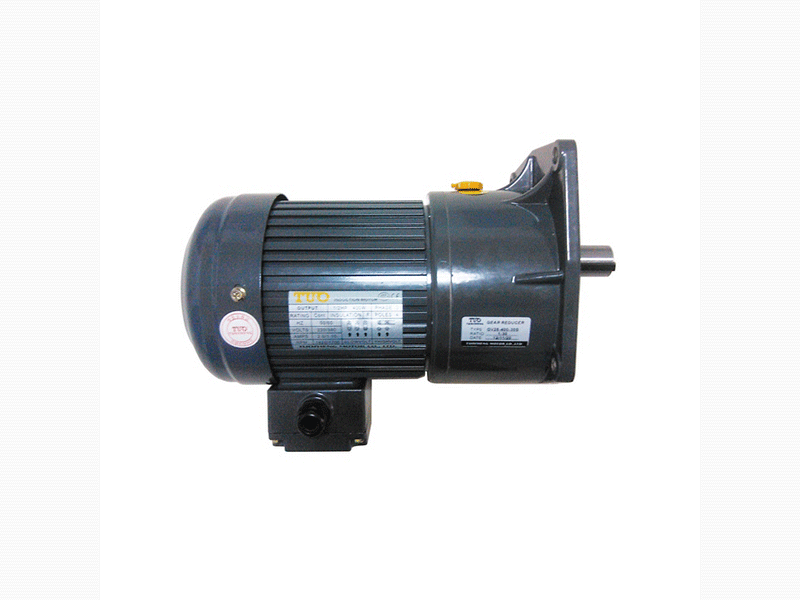 Single-phase/three-phase vertical (brake) motor